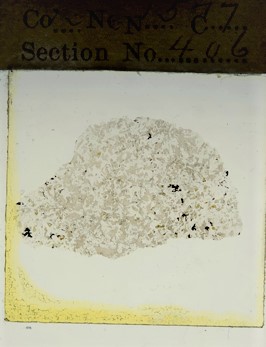 thin section